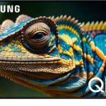 Samsung 65" Q60C QLED Smart TV - 4K UHD, Tizen, HDR10+ Plus