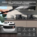 Two Oases 2500W Handheld Steam Cleaner - 3 Brush Heads, Portable - Image 2